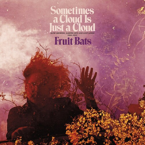 Fruit Bats - Sometimes a Cloud Is Just a Cloud: Slow Growers, Sleeper Hits and Lost Songs - LP
