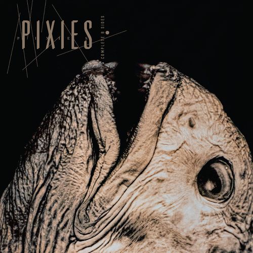 PRE-ORDER: Pixies "Complete B Sides 1988-97 remaster" 2xCD