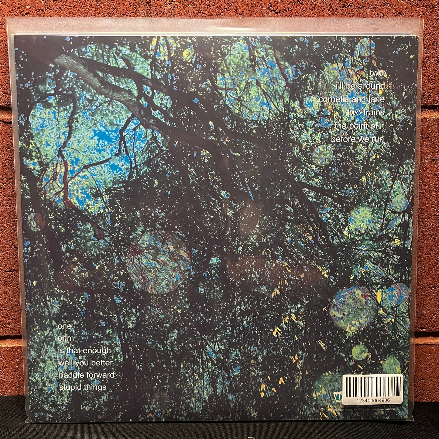 Used Vinyl: Yo La Tengo "Fade" LP (2013 Press)