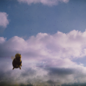 Pond/Stung! (Splatter Bee Vinyl) [LP]