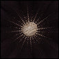 Baldwin, Nat/In The Hollows [LP]