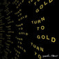 Diarrhea Planet/Turn To Gold [LP]