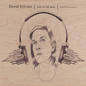 Sylvian, David/Died In The Wool (Manafon Variations) [LP]