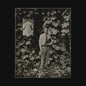 Tyler Childers "Long Violent History" LP