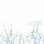 The Shins - Oh, Inverted World - LP