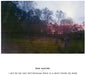 Teen Suicide/I Will Be My Own Hell (Neon Purple Vinyl) [LP]