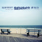 DAMAGED COVER: Senses Fail "Follow Your Bliss: The Best Of..." 2xLP