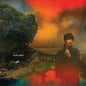 Van Etten, Sharon/We've Been Going About This All Wrong [LP]