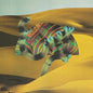 Django Django/Django Django: 10th Anniversary (3LP) [LP]