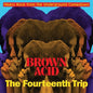 Various Artists - Brown Acid: The Fourteenth Trip - LP