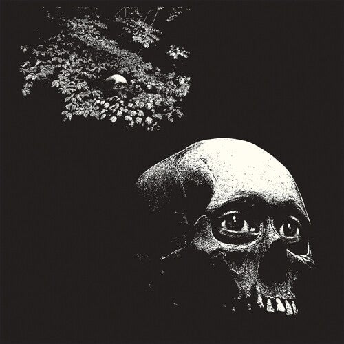 Osees - A Foul Form - LP