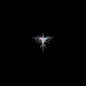 Karen O & Danger Mouse/Lux Prima [LP]