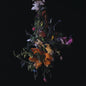 Big / Brave/Nature Morte [LP]