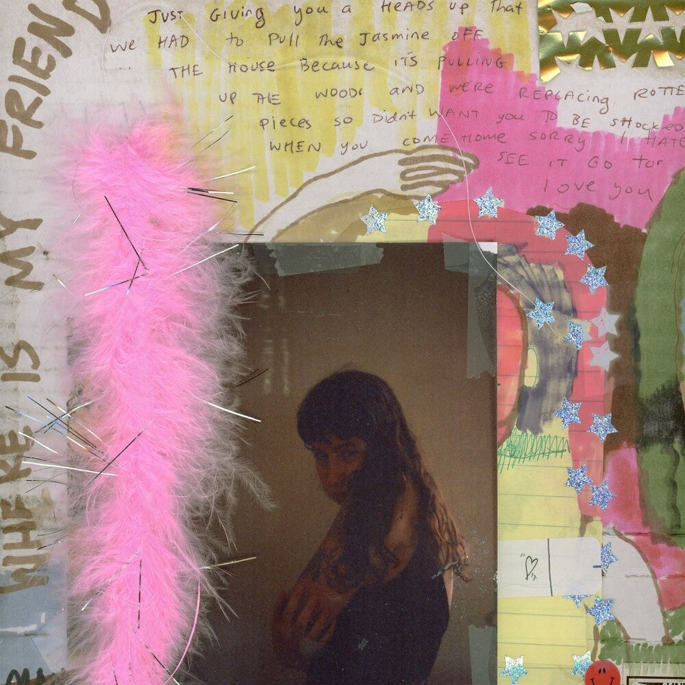 Wednesday "I Was Trying to Describe You to Someone" LP