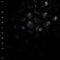 Crumb/Ice Melt (Opaque Purple Vinyl) [LP]