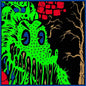 King Gizzard & the Lizard Wizard/Live In Asheville '19 [LP]