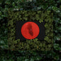 Sumney, Moses/Live From Blackalachia (Coloured Vinyl) [LP]