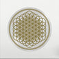 Bring Me The Horizon/Sempiternal (10th Anniversary Picture Disc Edition) [LP]