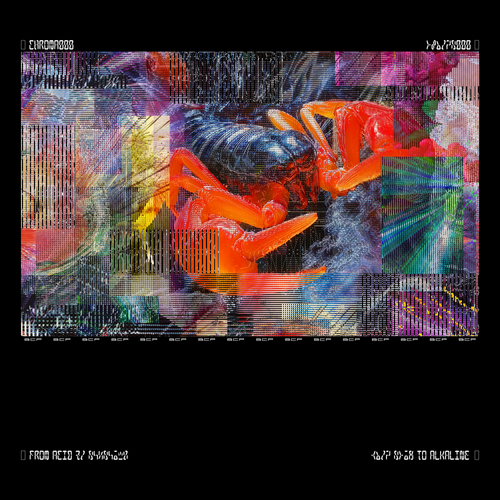 Bicep/Chroma 000 (Deluxe Edition) [LP]