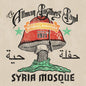 Allman Brothers Band/Syria Mosque, Pittsburgh PA, January 17, 1971 (Steel Gray Vinyl) [LP]
