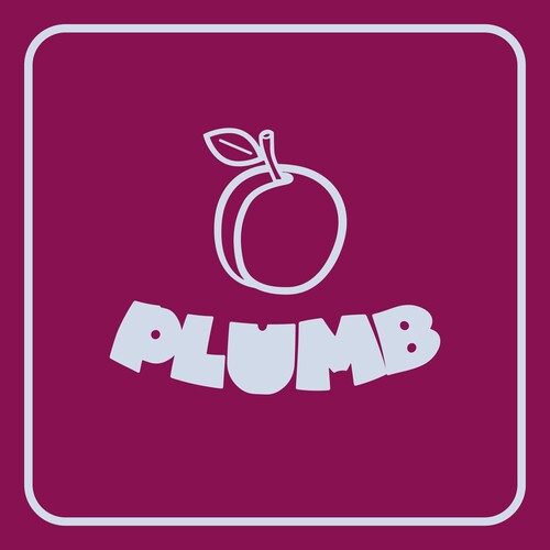 Ray Angry - Plumb [4LP Plum]