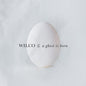 Wilco - A Ghost Is Born - LP