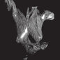 Oceansize/Self Preserved While The Bodies Float Up (15th Anniversary 3LP) [LP]