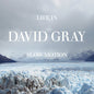 Gray, David/Life In Slow Motion (20th Anniversary Glacial Blue Vinyl) [LP]