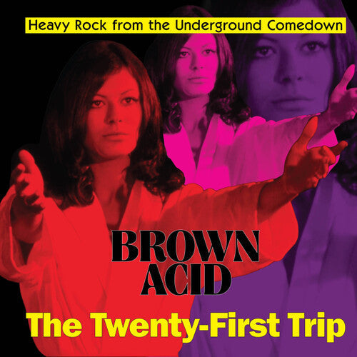 Various Artists - Brown Acid: The Twenty-First Trip - LP