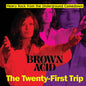 Various Artists - Brown Acid: The Twenty-First Trip - LP