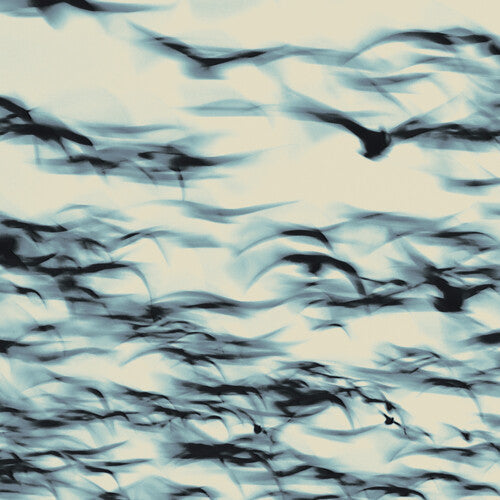 Bellbird/The Call [LP]