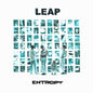 PRE-ORDER: Leap "Entropy" LP (White Vinyl)