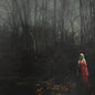 PRE-ORDER: 156/Silence "From A Distance" LP (Indie Exclusive Blood Red/Evergreen w/ White Splatter Vinyl)
