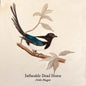 PRE-ORDER: Inflatable Dead Horse "Hello Magpie" CD
