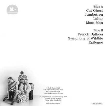 PRE-ORDER: Sulk "In the Shadow" LP (Half Black Half White Vinyl)