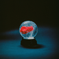 Darkside/Nothing (Indie Exclusive Red Vinyl) [LP]