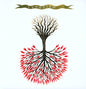 Lungfish/Love Is Love (Red Vinyl) [LP]