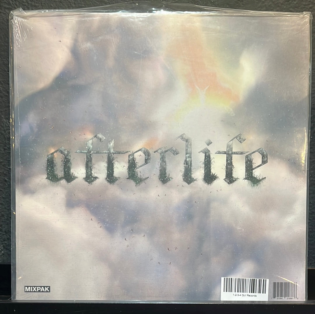Used Vinyl: Palmistry "Afterlife" LP