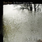 Bon Iver "For Emma, Forever Ago" LP (Random Color ReVinyl Edition)