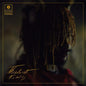 Thundercat/It Is What It Is (Clear Vinyl) [LP]
