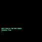 Cave, Nick/Skeleton Tree [LP]