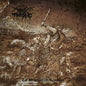 Darkthrone/The Undergound Resistance [LP]