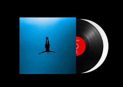 PRE-ORDER: Telescreens "Why The Lights Flicker" 2xLP (Black & White Vinyl)
