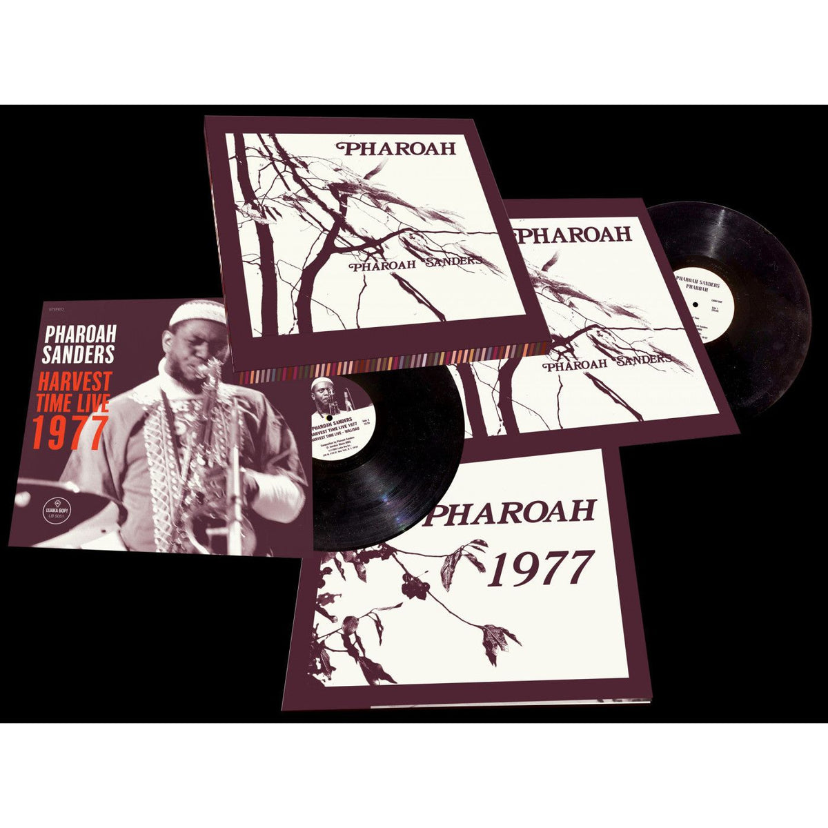 Pharoah Sanders - Pharoah - LP