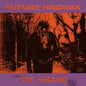 Future/The Wizard [LP]