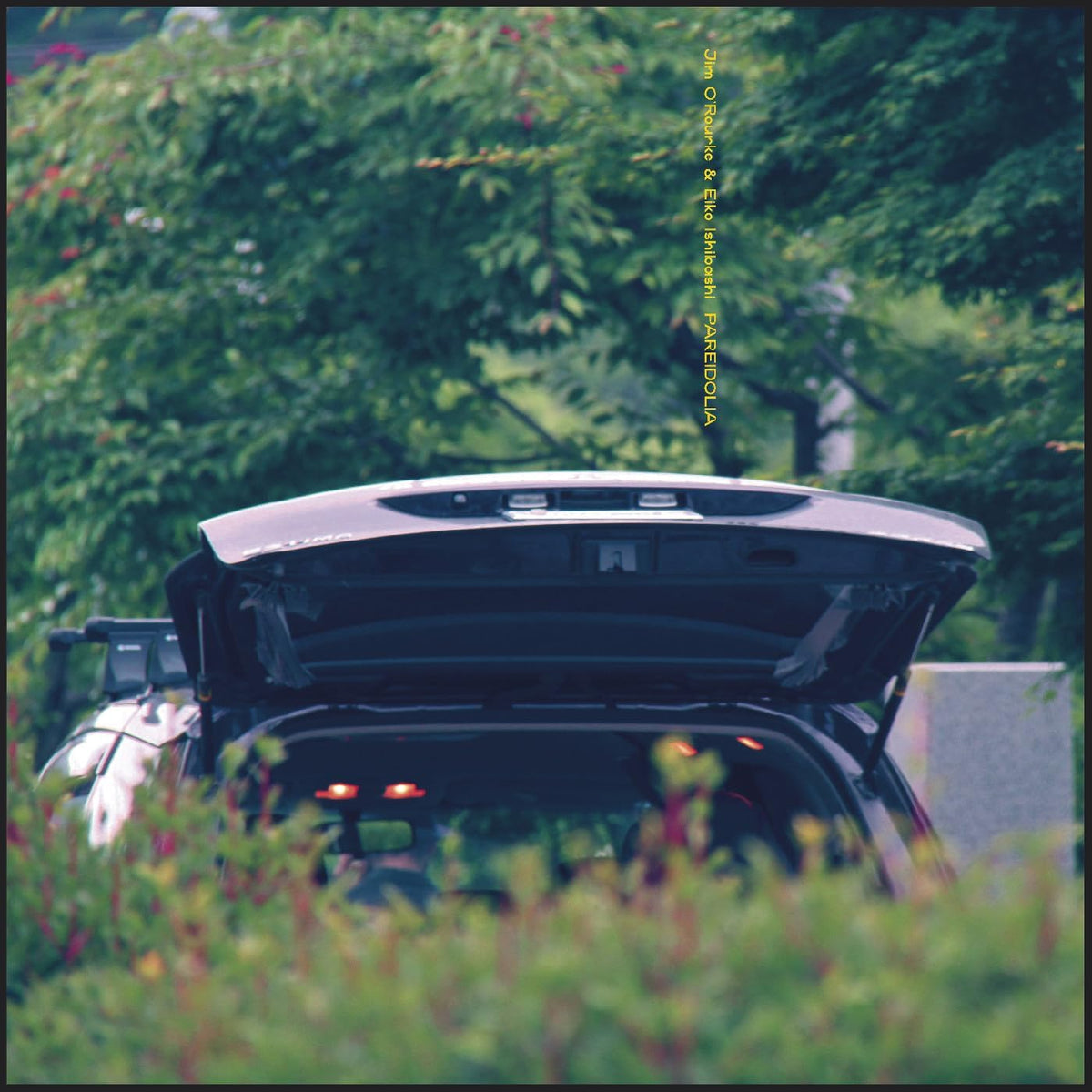 Ishibashi, Eiko & Jim O'Rourke/Pareidolia [LP]