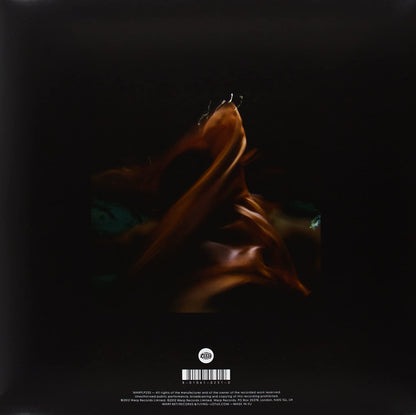 Flying Lotus/Until The Quiet Comes [LP]