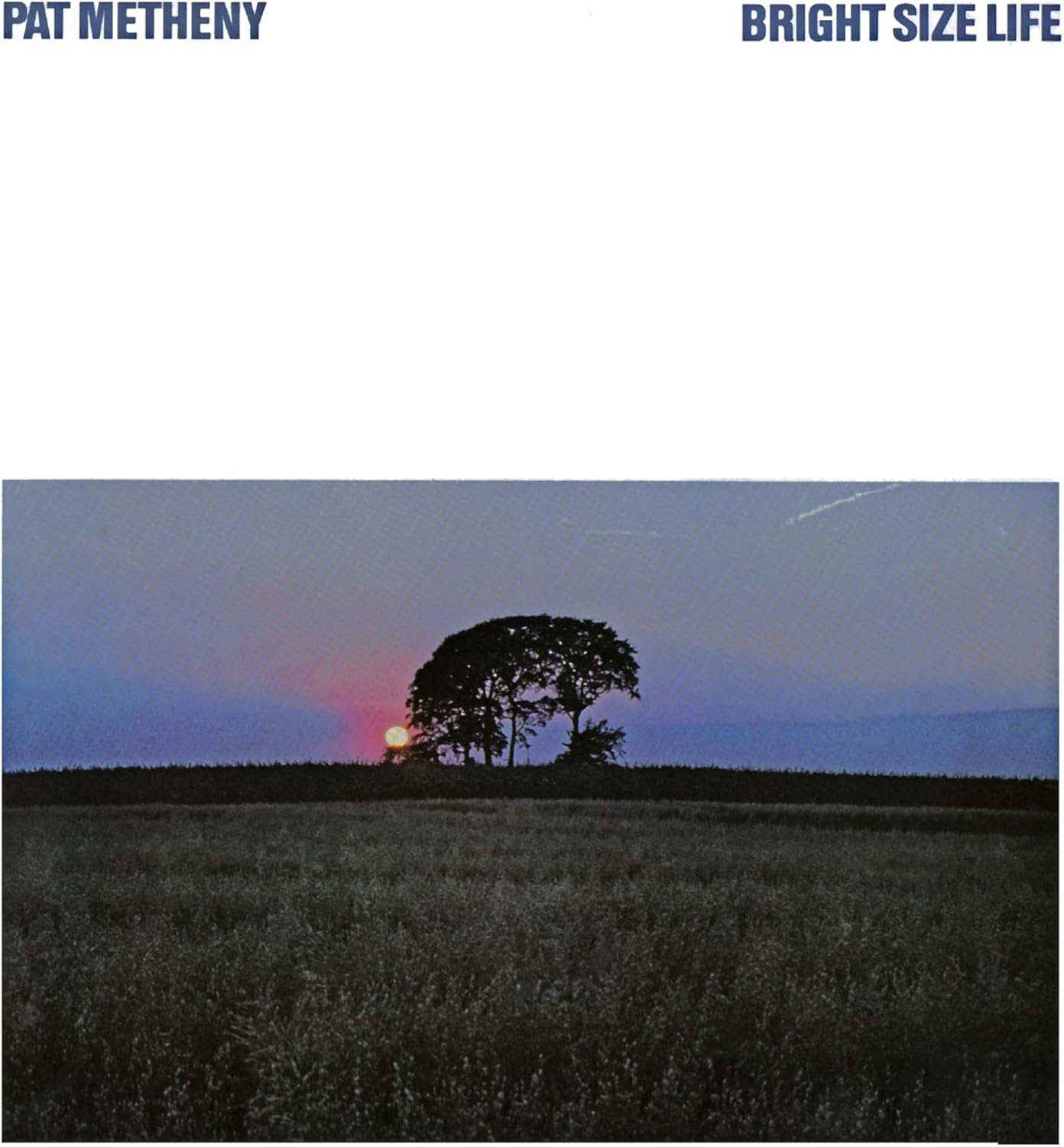 Metheny, Pat/Bright Size Life [LP]