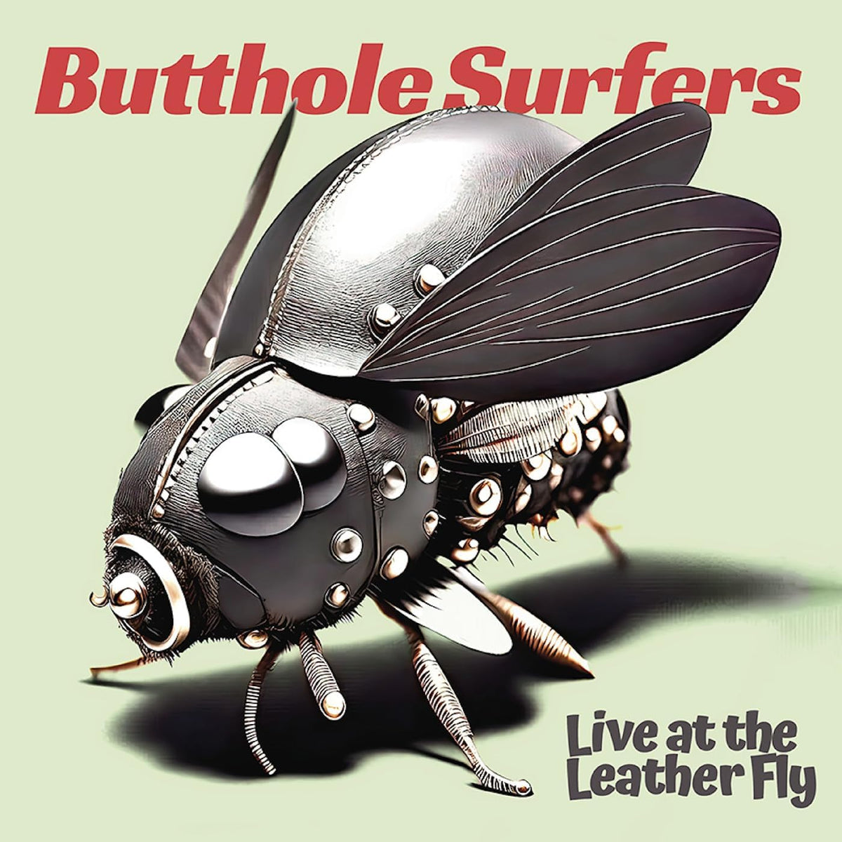 Butthole Surfers/Live at the Leather Fly (Opaque Pink Vinyl) [LP]