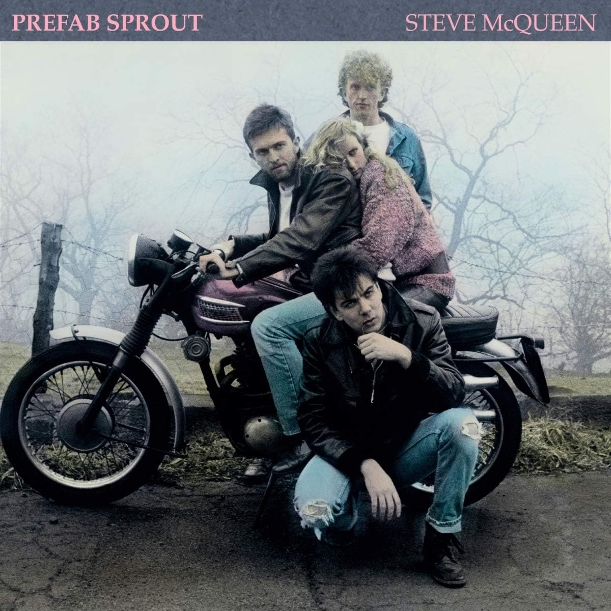 Prefab Sprout/Steve Mcqueen [LP]